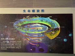 -安徽省地质博物馆