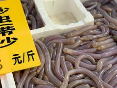-寻味顺德·南记酒家·传统顺德菜·鱼生(广源路店)