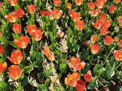 -廊坊文化艺术中心