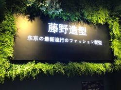 点击看大图 -藤野造型