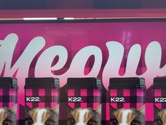 -K22.酸奶草莓(长春上海路万达店)