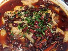麻辣水煮鱼-粤香楼(新光里店)