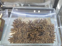 -三江源牌冬虫夏草(中山北路店)