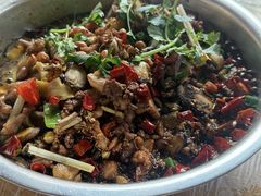 -食神又名厕所兔