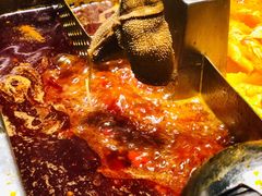 烫毛肚-海底捞火锅(东方时代广场店)