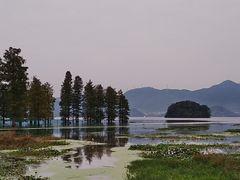 -四明湖