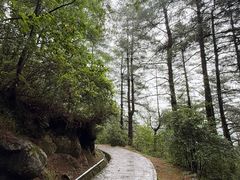 -苍山感通索道