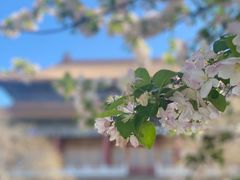 -故宫博物院(故宫)
