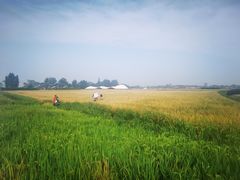 -中国天府农业博览园