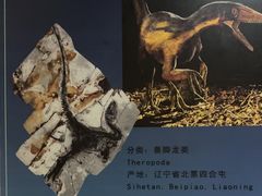 -世界恐龙谷景区