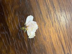 -南小蟹手工點心(三里屯店)