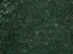 -高新活力汇Vitality