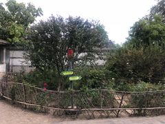 -王家大院