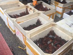 -岳各庄批发市场(西四环中路店)