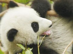 -周鱼小馆石锅酸菜鱼(活力汇店)