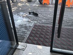 -全乐鱼馆·淳牌有机鱼直营店
