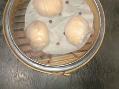 -糖朝(尖沙咀店)