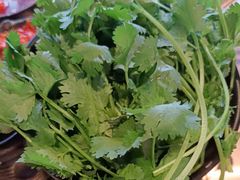 -辣伍鲜毛肚老火锅(元一店)