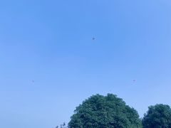 -滆湖低碳生态公园