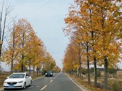 -南京枫彩漫城