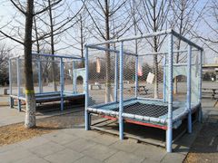 -永定河休闲森林公园