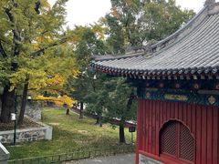 -香山公园