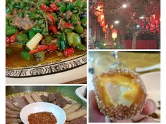 -铁山坪森林公园