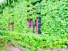 -曲阜师范大学(曲阜校区)