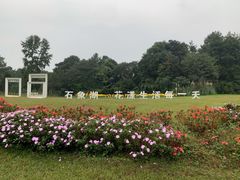 -保利石象湖景区