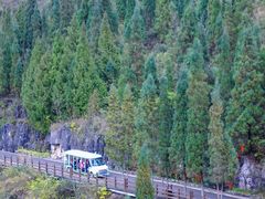 -万峰林风景区