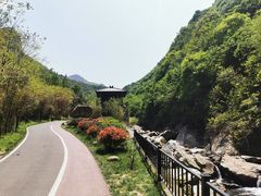 -少华山国家森林公园