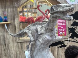 -卡通尼·Safari非洲探索乐园·生日会(金桥国际商业广场店)