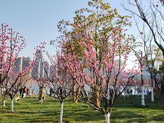 -天鹅湖体育公园