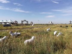 -敕勒川草原文化旅游区