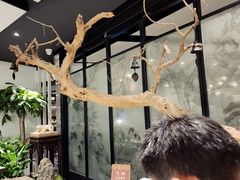 -羲和雅苑•北京烤鸭(国贸商城店)