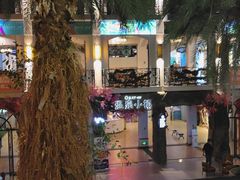 -河源客天下-温泉小镇