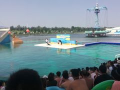 -秦皇岛乐岛海洋王国