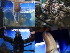 -桔子海鲜烧烤大排档(金沙滩店)