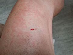 android_upload_pic-Club Med地中海俱乐部·桂林度假村