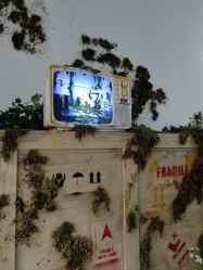 -上海玫瑰医疗美容医院