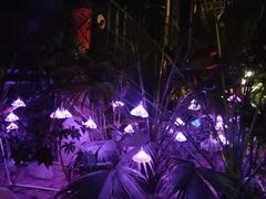 -郑州银基黄帝宫御温泉