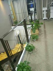 -素妍印象Ekrin Medi Clinic