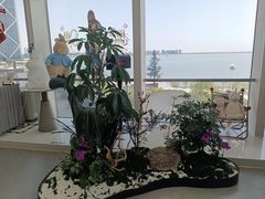 -朵云书院(滴水湖店)