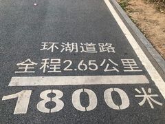 -海珠湖公园