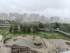 -青藏高原野生动物园