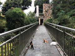 -深圳国际园林花卉博览园