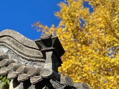 -颐和园