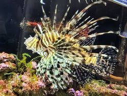 -Zoolung Zoolung动物主题公园(海信广场店)