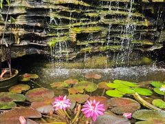 -国家植物园南园