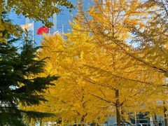 -锦江富园大酒店-游泳馆